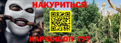 трава Будённовск